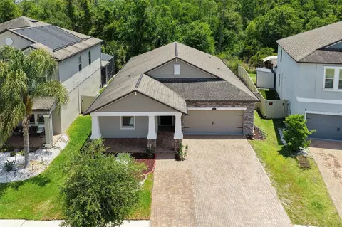 6233 English Hollow Rd, Tampa, FL 33647