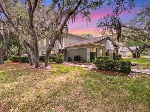 6206 Greenleaf Ln, Tampa, FL 33617