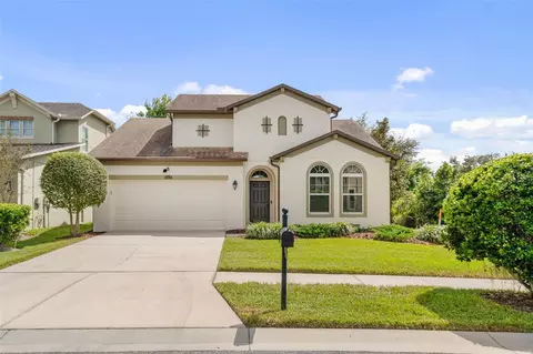 4432 Vermillion Sky Dr, Wesley Chapel, FL 33544