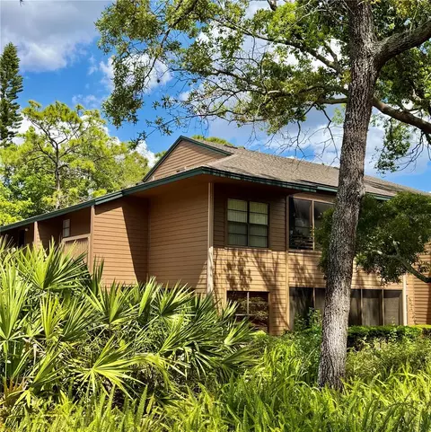 1001 Lennox Rd W, Palm Harbor, FL 34683