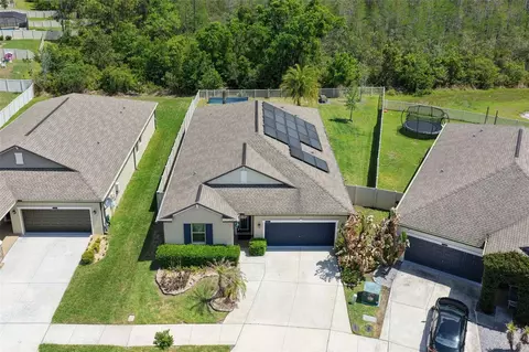21922 Crest Meadow Dr, Land O Lakes, FL 34637