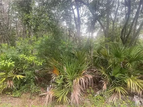 8488 N Ironwood Ter, Crystal River, FL 34428