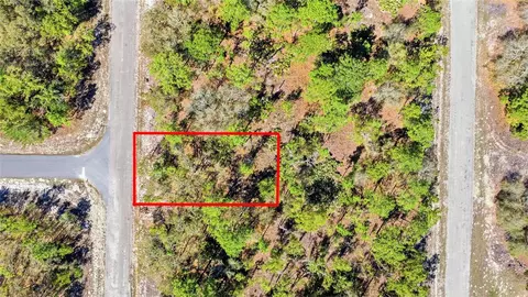 1877 W Pendleton St, Dunnellon, FL 34434