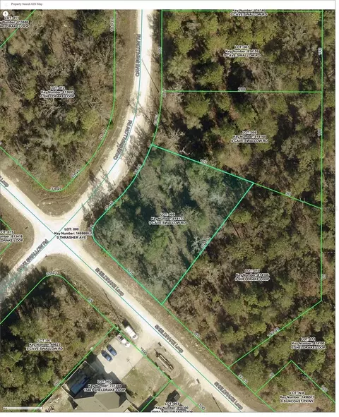 16008 Cave Swallow Rd, Brooksville, FL 34614