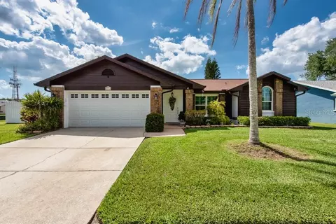 2911 Lahlor Ln, Palm Harbor, FL 34684