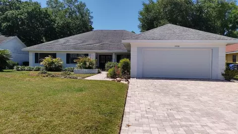 10408 Reclinata Ln, Tampa, FL 33618