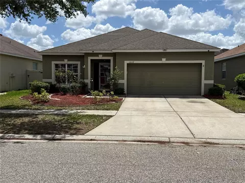 10117 Celtic Ash Dr, Ruskin, FL 33573