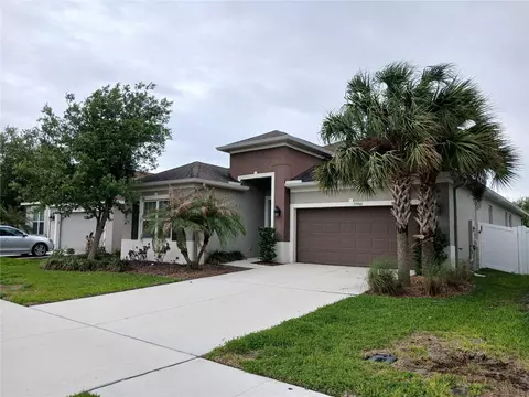 29900 Walsh Oak Dr, Wesley Chapel, FL 33545