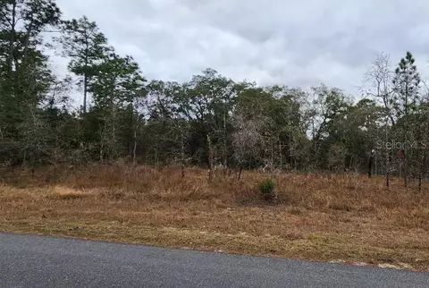 15037 Dusky Warbler Rd, Weeki Wachee, FL 34614