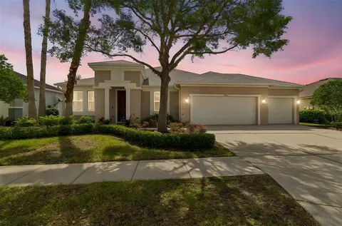 5405 Hammock View Ln, Apollo Beach, FL 33572