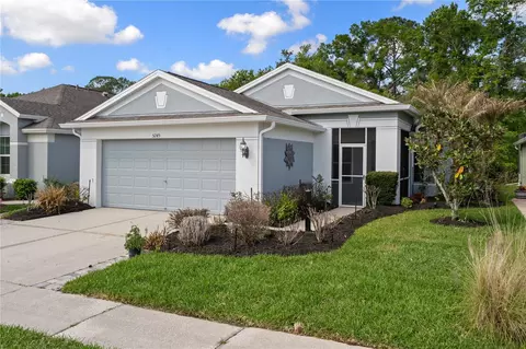 5245 Gato Del Sol Cir, Wesley Chapel, FL 33544