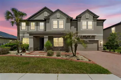 10316 Clover Pine Dr, Tampa, FL 33647