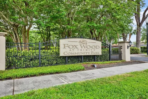 View/Area - 2021 Meadow Rue Ct, Trinity, FL 34655 photo 9 of 9