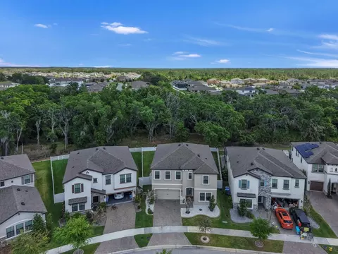 View/Area - 13036 Pennybrook Dr, Riverview, FL 33579 photo 2 of 14