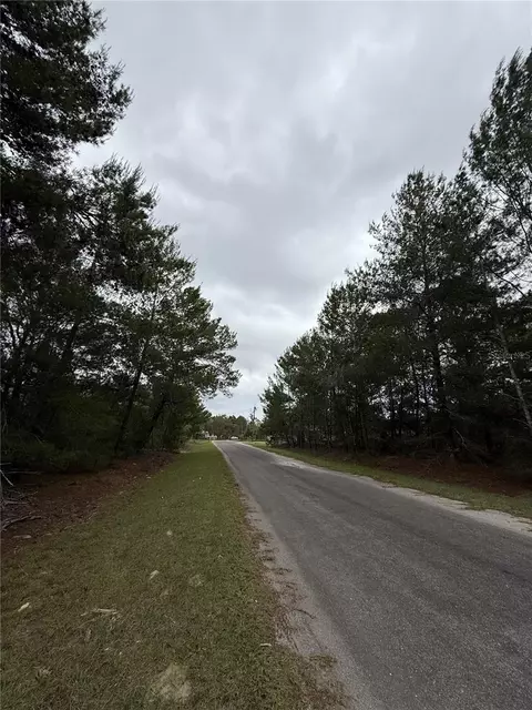 tbd Malauka Trak, Ocklawaha, FL 32179
