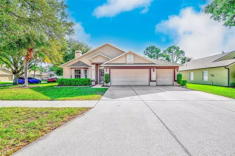 2927 Hickory Grove Dr, Valrico, FL 33596