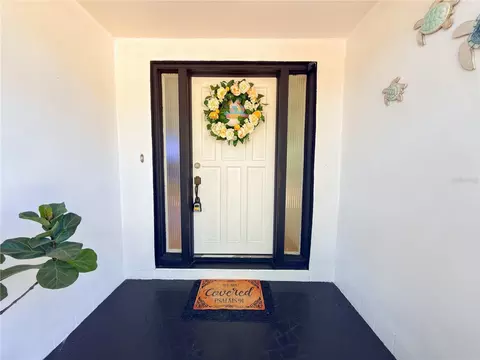 Entry Way - 8818 Mathog Rd, Riverview, FL 33578 photo 1 of 2