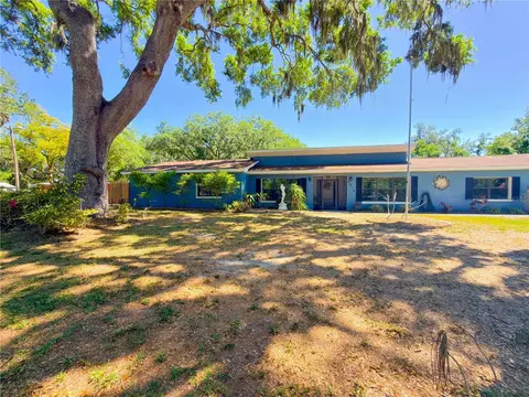 Exterior - 8818 Mathog Rd, Riverview, FL 33578 photo 12 of 12