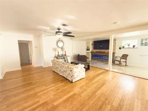 Living - 8818 Mathog Rd, Riverview, FL 33578 photo 5 of 7