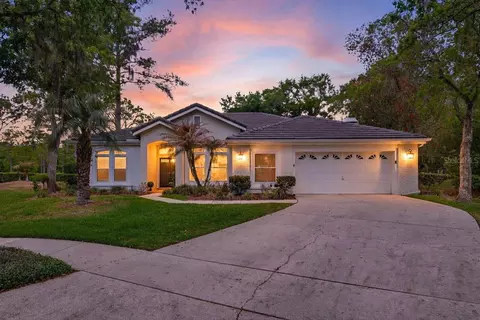 17805 Green Willow Dr, Tampa, FL 33647