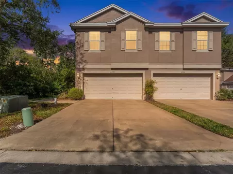 6220 Duck Key Ct, Tampa, FL 33625