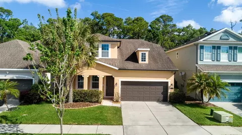 11604 Quiet Forest Dr, Tampa, FL 33635