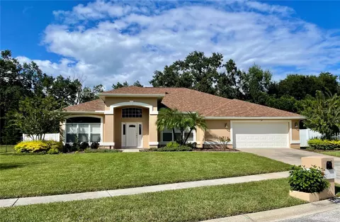 3041 Colonial Ridge Dr, Brandon, FL 33511