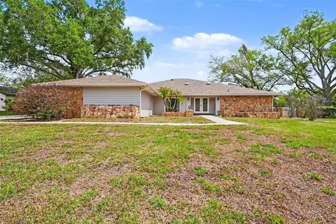 1009 Morfield Ln, Brandon, FL 33511
