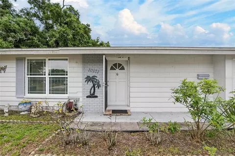 10101 Mariposa Pl, Tampa, FL 33619