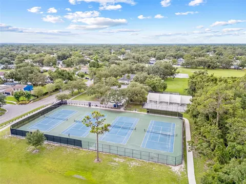 View/Area - 4104 Fallon Ct, Brandon, FL 33511 photo 13 of 13