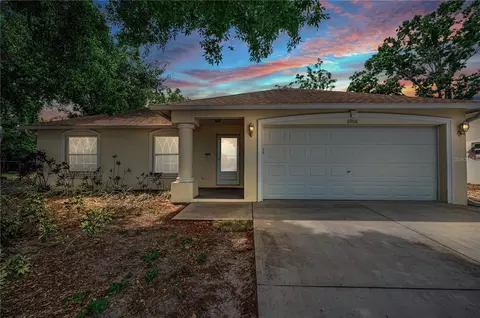 6906 297th Ave N, Clearwater, FL 33761