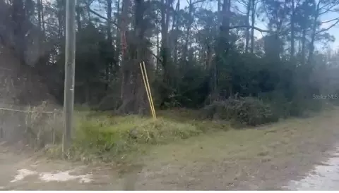 311 Wilson Ln NE, Lake Placid, FL 33852