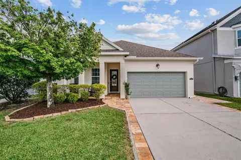 8115 Champions Forest Way, Tampa, FL 33635