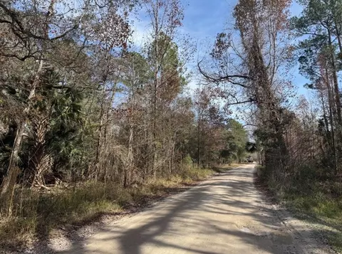 Undetermined, Citra, FL 32113