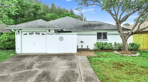 5909 Bitterwood Ct, Tampa, FL 33625
