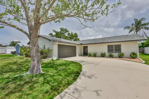 539 Red Mangrove Ln, Apollo Beach, FL 33572