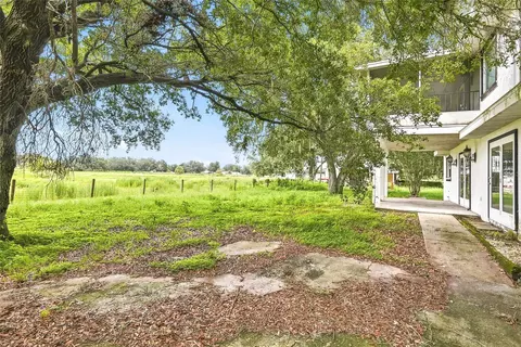 Other - 8731 Lithia Pinecrest Rd, Lithia, FL 33547 photo 42 of 46