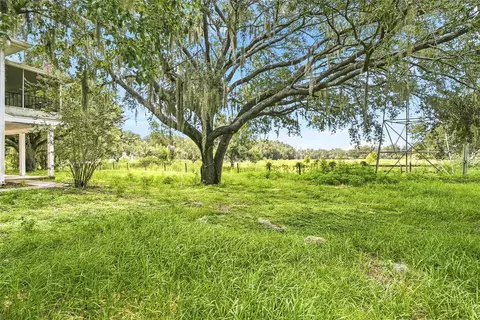 Other - 8731 Lithia Pinecrest Rd, Lithia, FL 33547 photo 43 of 46
