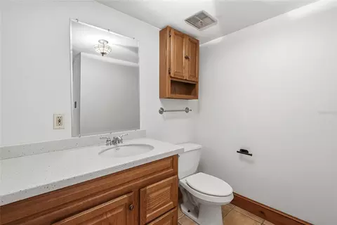 Other - 8731 Lithia Pinecrest Rd, Lithia, FL 33547 photo 22 of 46