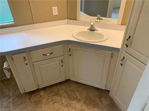Bath - 8731 Lithia Pinecrest Rd, Lithia, FL 33547 photo 4 of 5