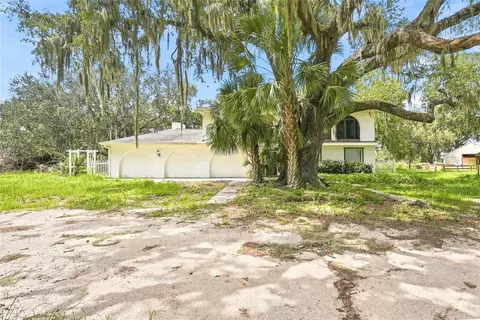 Other - 8731 Lithia Pinecrest Rd, Lithia, FL 33547 photo 6 of 46