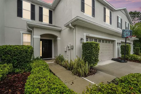 20542 Grand Vista Ln, Tampa, FL 33647