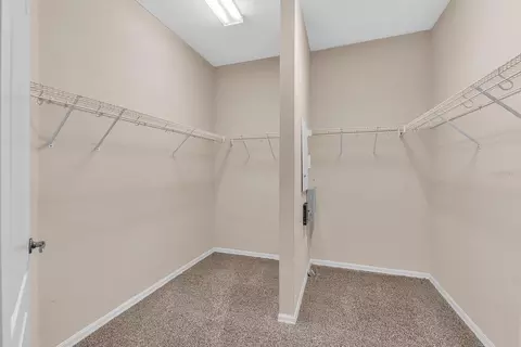 Other - 2809 Durant Trails Blvd, Dover, FL 33527 photo 5 of 9