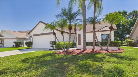 8609 Boysenberry Dr, Tampa, FL 33635