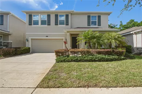 8415 Praise Dr, Tampa, FL 33625