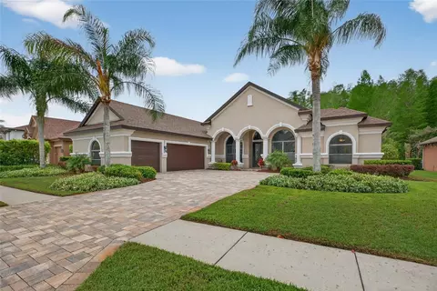 1607 Abyss Dr, Odessa, FL 33556