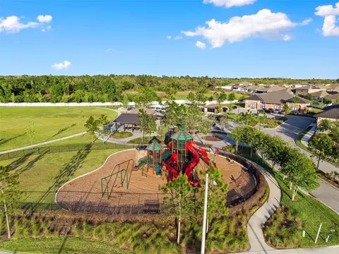 View/Area - 13307 Willow Bluestar Loop, Riverview, FL 33579 photo 3 of 6