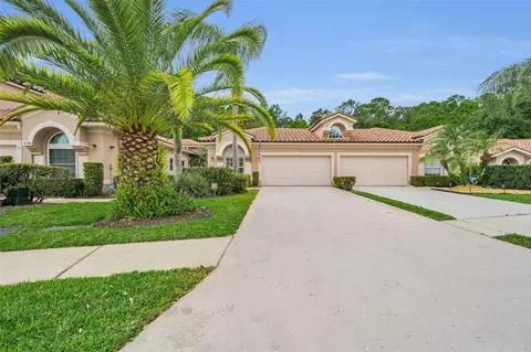 3802 Darston St, Palm Harbor, FL 34685