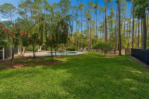 Exterior - 421 Pine Bluff Dr, Lutz, FL 33549 photo 15 of 17