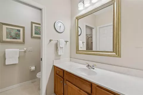 Bath - 421 Pine Bluff Dr, Lutz, FL 33549 photo 4 of 8